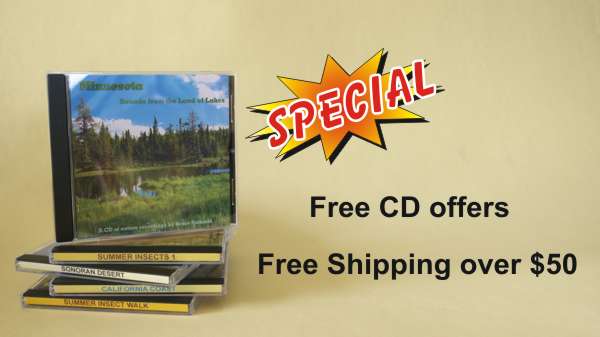 Buy 2 CDs Get 1 FREE, Buy 4 CDs Get 2 FREE, FREE Shipping Over $50
