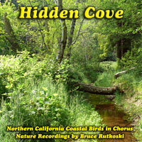 California Birds in Chorus