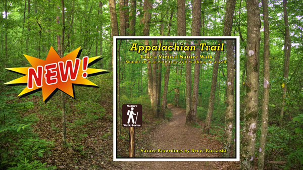New Album: Appalachian Trail. Enjoy the sounds of birds while on virtual walks on the legendary trail.