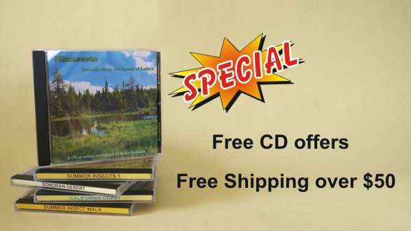 Nature Sound Recordings on CDs and MP3 downloads, no music, from Natureguy Studio. Buy 2 CDs get 1 Free, buy 4 CD's get 2 Free Shipping over $50