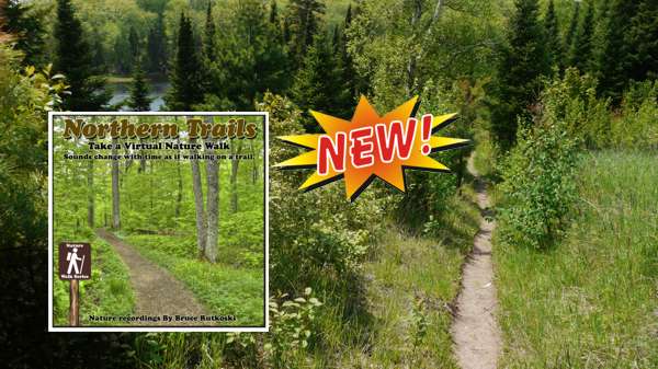 New Album: Northern Trails. Take a Virtual Walk to the Sounds of Spring Birds