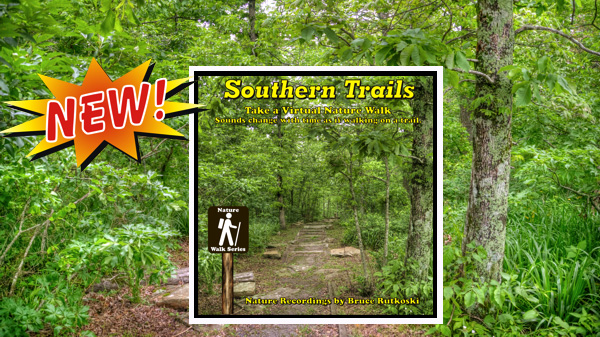 New Album: Southern Trails. Take Virtual Walks through Texas, Arkansas, and Oklahoma.