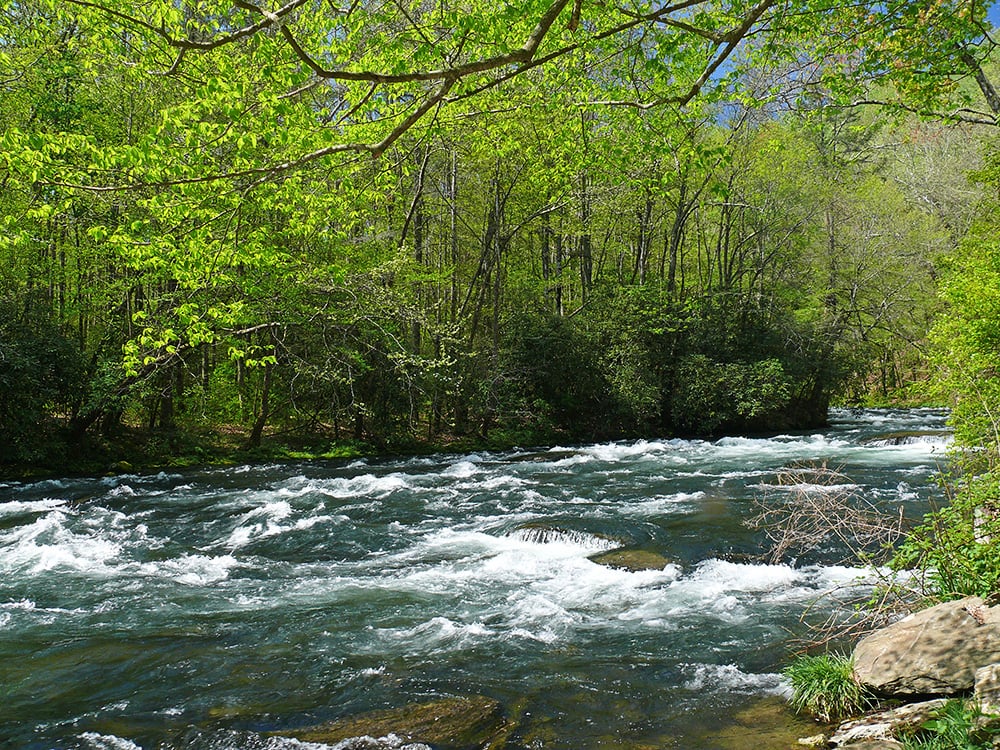 Natureguy Studio Creeks and Waterfalls Sounds